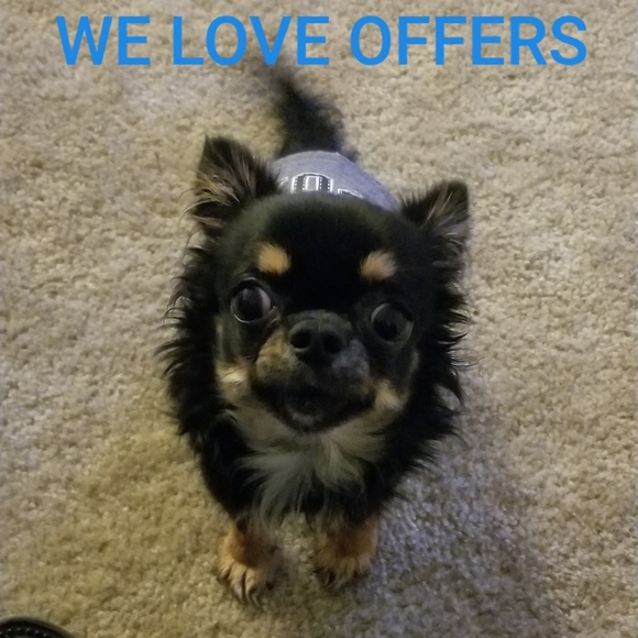 Meet your Posher Bookmark My Closet for Sales - Picture 3 of 3